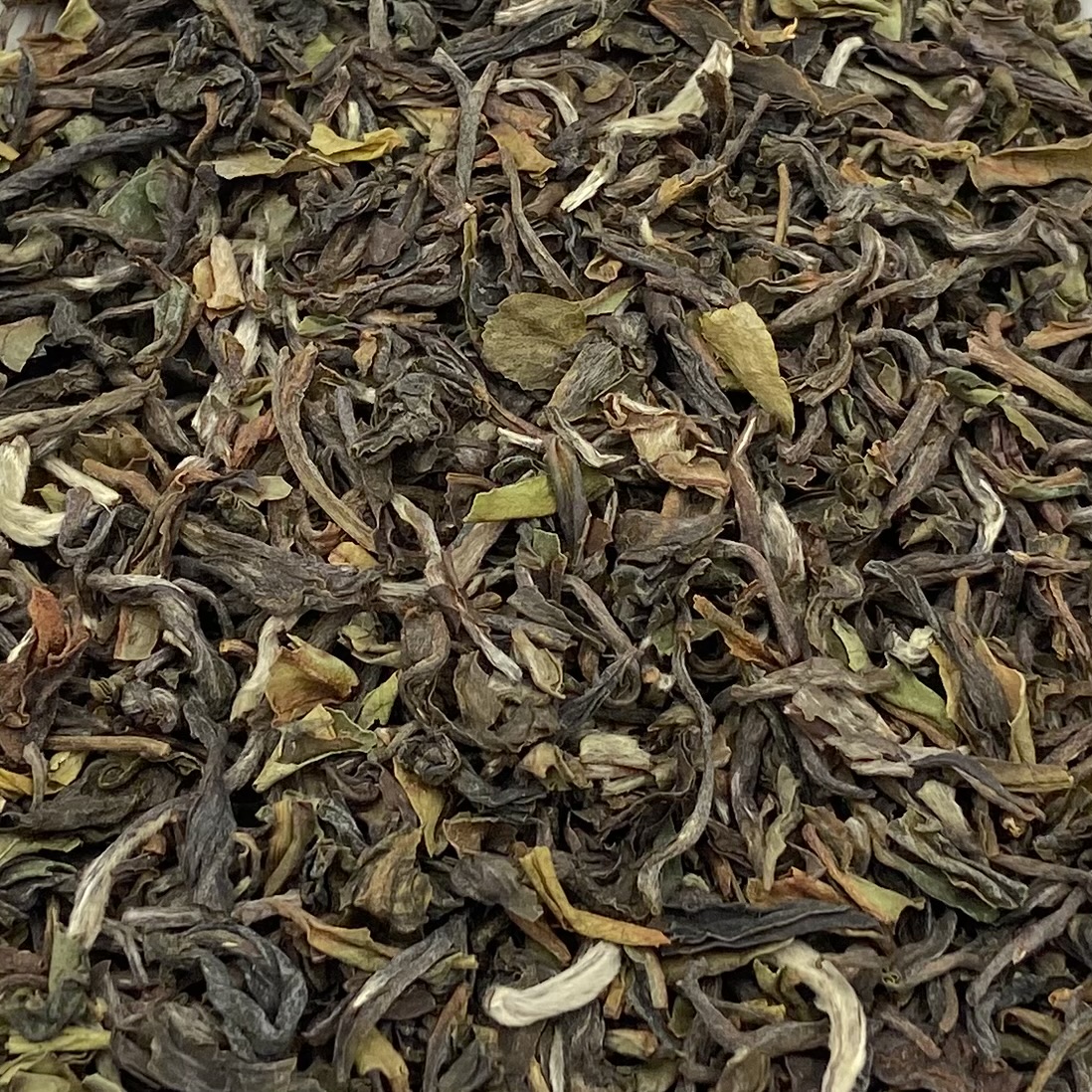 Thé noir - Darjeeling de printemps 2022